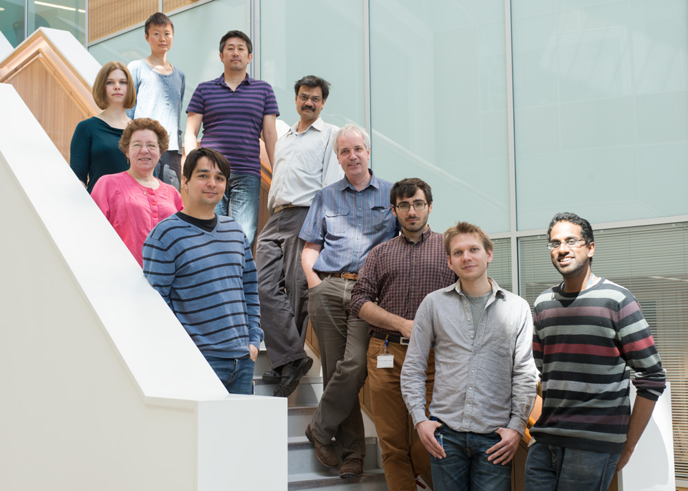 The Endocytic Team in the McMahon Lab for 2013